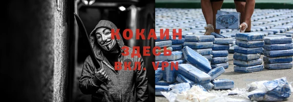 индика Алексин
