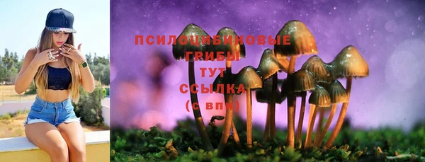гашик Алзамай