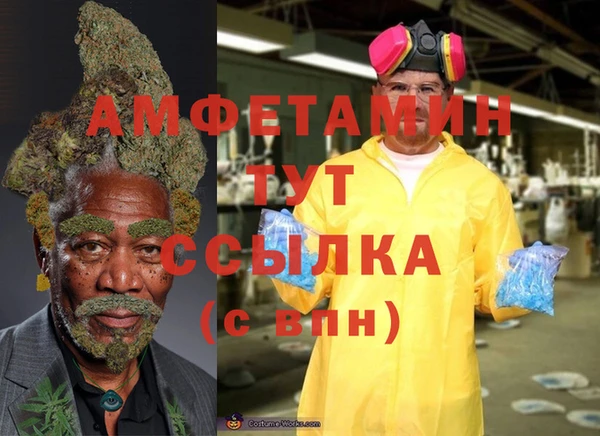 индика Алексин