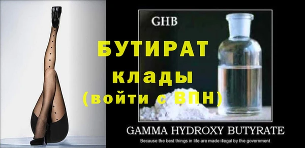 индика Алексин
