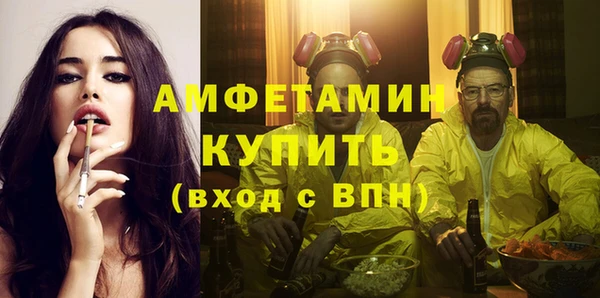 индика Алексин