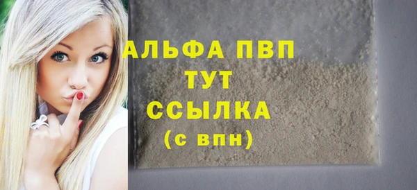 индика Алексин